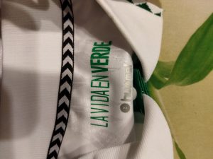 Click to view full screen Camiseta Real Betis 1ª Equipación 2024/2025 photo review