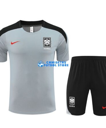 Camiseta Corea Equipación 2024/2025 Gris